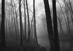 Paul Caponigro Fog and Trees, Redding Connecticut