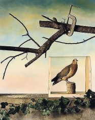 Jo Whaley, Mourning Dove, Winter, 1992, 