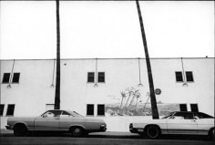 Terry Wild California Palms, Los Angeles, CA, 1970