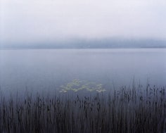 Fog on Post Pond, New Hampshire