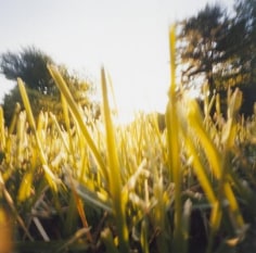 Christine Lebeck Chad,&nbsp;