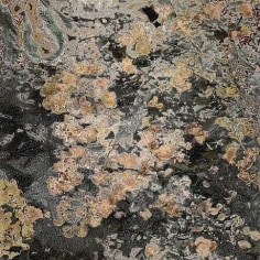 Aziz+Cucher,  Flora #2, 2008 