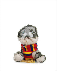 Bear 13, 2006