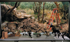 Diorama with Bobcat Removal, San Francisco, 2005
