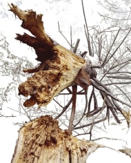 Sebastian Lemm,  Subtraction I 