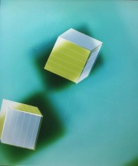 Two Green and Silver Cubes on Dark Fields on Light Blue, 2005