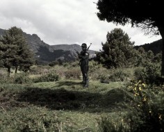 Francisco Reina,  PNAC, 2009 