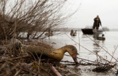 Mark Havens,&nbsp; Dauphin County Line, 2010&nbsp;