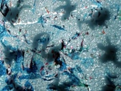 Paul Shafer Tide Pool, 2005