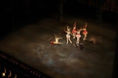 Henry Leutwyler Ballet , 2012