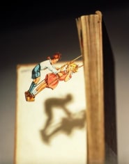 Uplift, 2003 24 x 20 inch Chromogenic&nbsp;