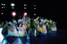 Henry Leutwyler Ballet , 2012