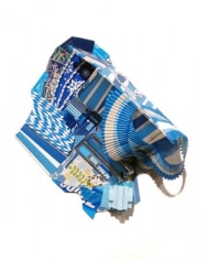 Lisa Hoke - Blue Bend, 2013