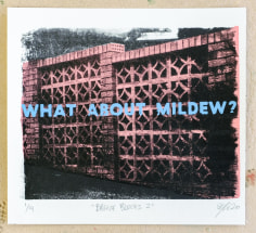 Jacob Boylan  Breeze Blocks 2, 2020  Silk Screen on Paper  25h x 28w cm