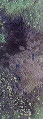 Stu Murphy, Both Parts, 2018, Aerial photo of wetlands near Grafton NSW