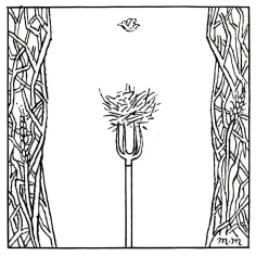 Matthew Martin  First Gardener's Adam, 2011