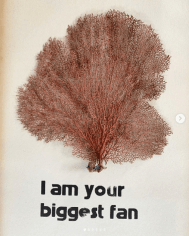 Hannah Cutts  I Am Your Fan, 2020