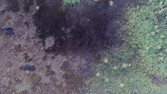 Stu Murphy, Part B, 2018, Aerial photo of wetlands near Grafton NSW