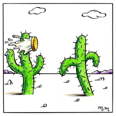 Matthew Martin  Cacti with Pie, 2011