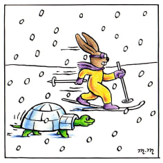 Matthew Martin  Tortoise and Hare, 2018