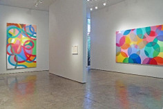 Installation view of Graciela Hasper, Sicardi Gallery, 2011.