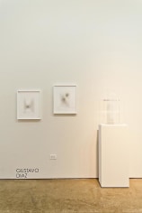 Marked Pages III, Gustavo Diaz, Sicardi Gallery installation view, 2011