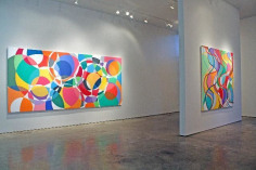 Installation view of Graciela Hasper, Sicardi Gallery, 2011.