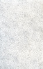 Gabriel Martinez, Untitled, 2014. Silver point drawing, 8.5 in. x 11 in.