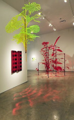 Thomas Glassford, Sicardi Gallery installation view, 2011