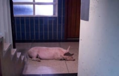 Melanie Smith, Video still from Elevator, 2012. Single channel video, color sound, 7:49 minutes.