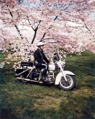  Springtime, Washington, 1965.