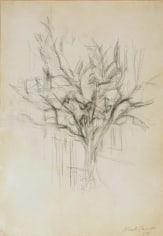 Alberto Giacometti Arbre