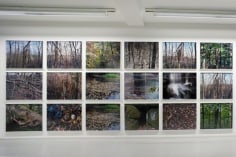 Joseph Bartscherer: Forest&nbsp;&ndash; installation view 5