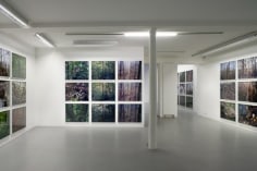 Joseph Bartscherer: Forest &ndash; installation view 1