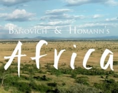 Banovich &amp; Homann's Africa 2018 (Video)