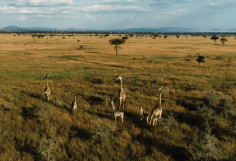 Wildscapes Travel-Seeking a better understanding of the world around us through ART | TRAVEL | FILM | PHILANTHROPY