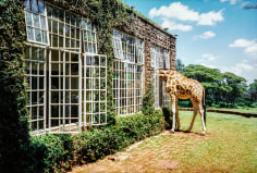Arthur Elgort, Rubbernecking, Giraffe Manor, Kenya, VOGUE, 2007