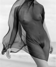Herb Ritts, Female Torso With Veil, Paradise Cove, 1984