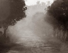 Isabella Ginanneschi, Early Morning, 2006