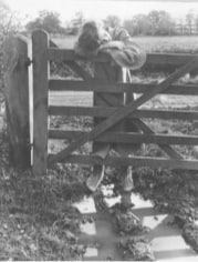 Norman Parkinson, Wenda Behind Five Barr Gate, 1951