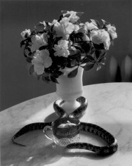 Andr&eacute; Kert&eacute;sz Still Life with Flowers and Snake, New York, 1960