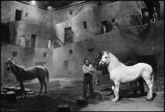 Mary Ellen Mark, Readying the horses for the next take, Fellini's Satyricon,  Rome, Italy, 1969