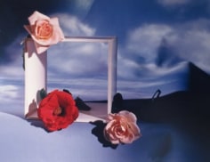 Horst P. Horst, Roses with Square and Clouds