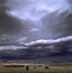 Michael Eastman, Horses, Montana