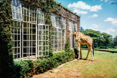 Arthur Elgort, Rubbernecking, Giraffe Manor, Kenya, American Vogue, 2007