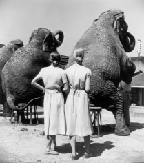 Louise Dahl-Wolfe, Twins with Elephants, Sarasota, 1947
