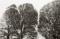 Priscilla Rattazzi, Hurricane Irene II, East Hampton, 2011
