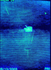 Kali, Butterfly, 15:18:39