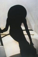 Sheila Metzner, Fashion. 1988.