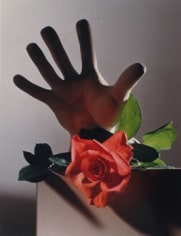 Horst P. Horst, Rose with Cast of Michelangelo Hand